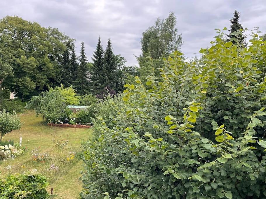 Grosse Wohnung Mit Loggia Templin Eksteriør billede